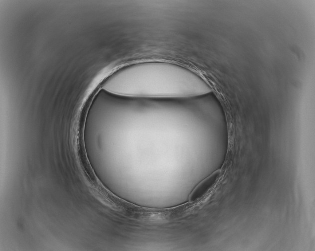 X0000112740056200908201044