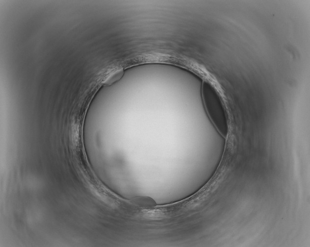 X0000112740057200908201044