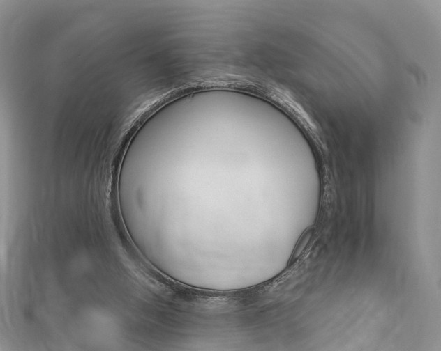 X0000112740058200908201044
