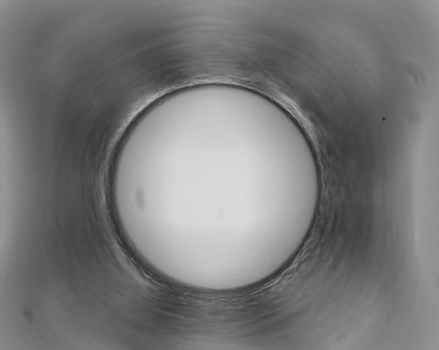 X0000112740060200908201044