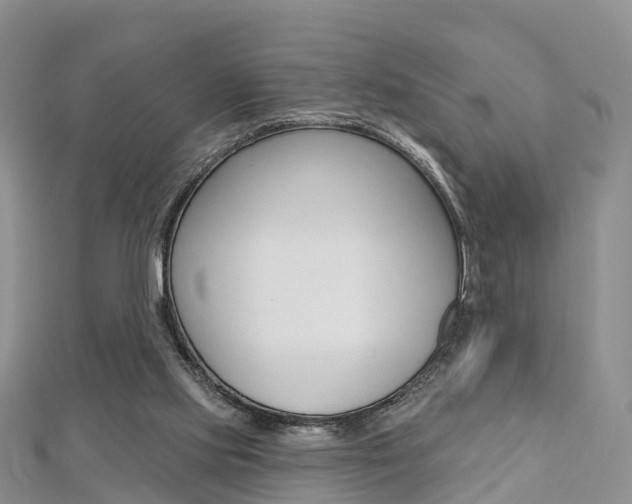 X0000112740061200908201044
