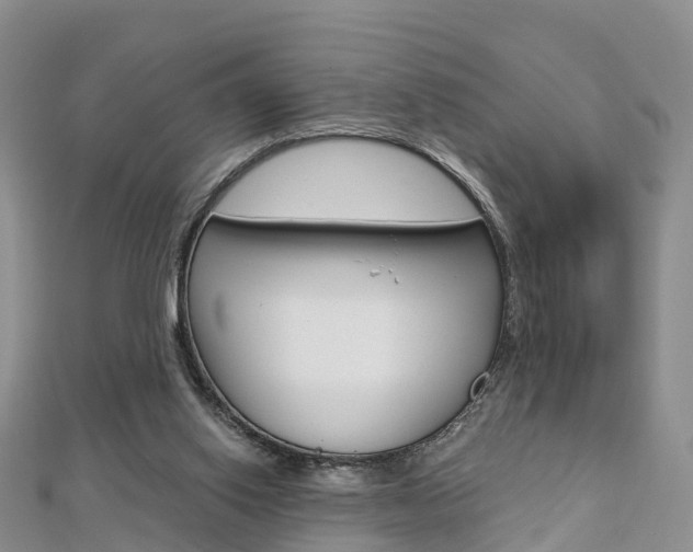 X0000112740062200908201044