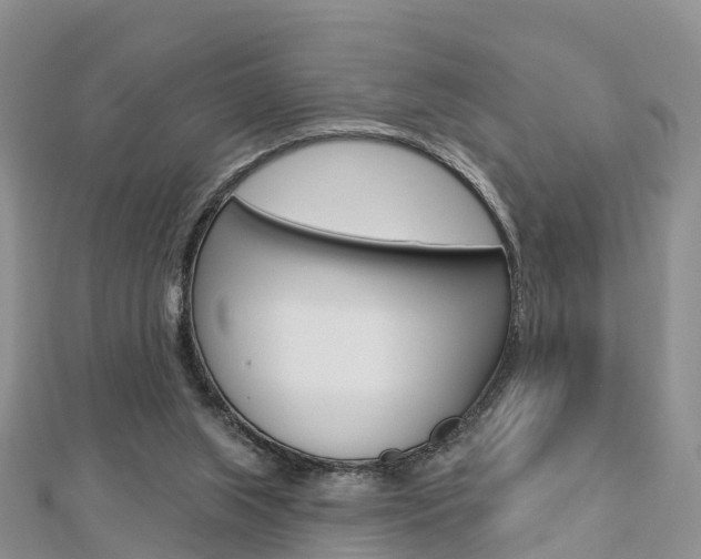 X0000112740063200908201044