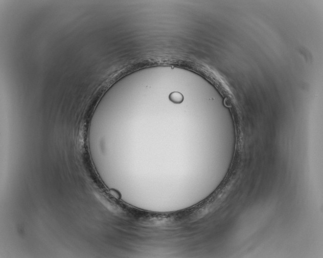 X0000112740065200908201044