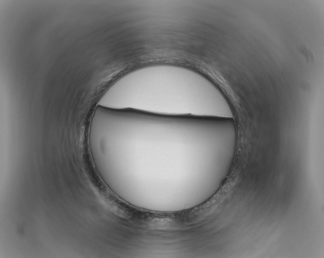 X0000112740066200908201044