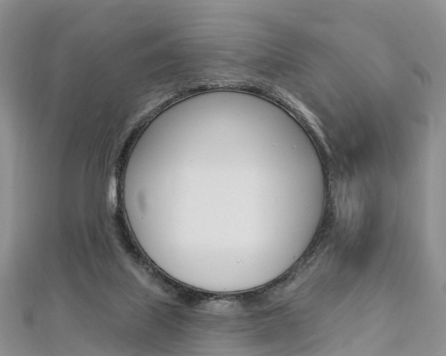 X0000112740067200908201044