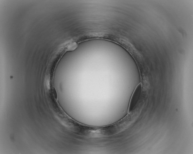 X0000112740068200908201044