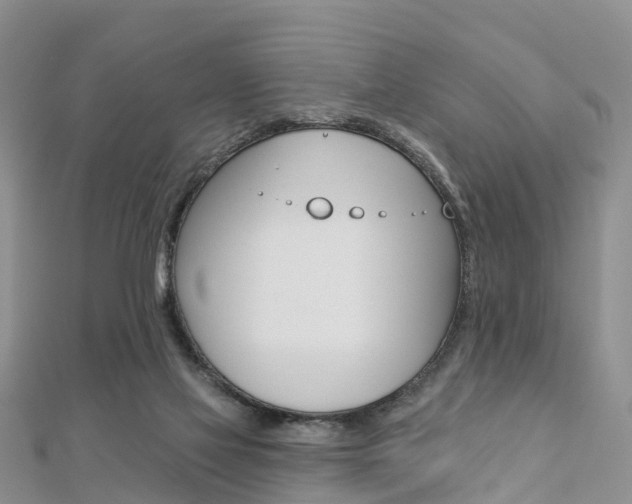 X0000112740069200908201044