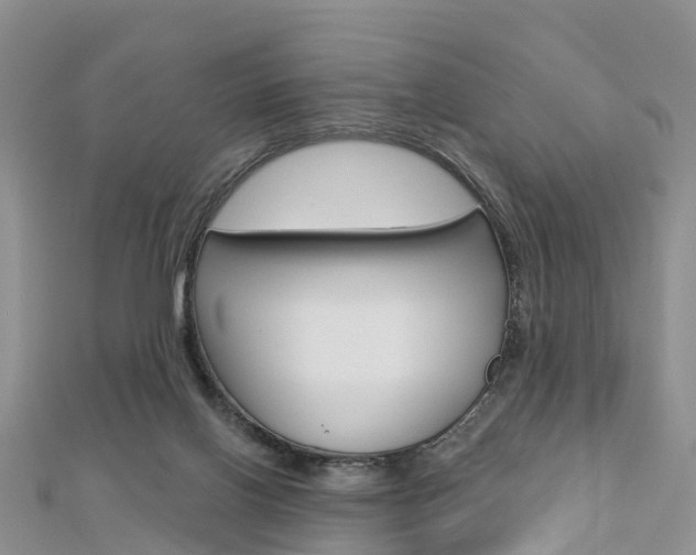 X0000112740070200908201044