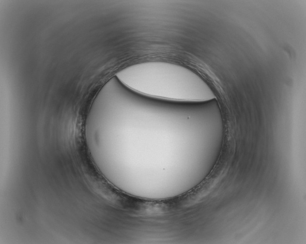 X0000112740073200908201044