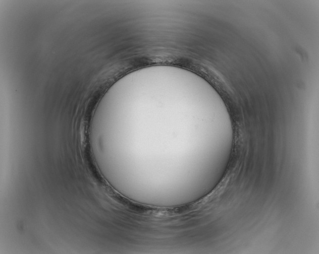 X0000112740074200908201044