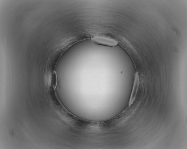 X0000112740076200908201044