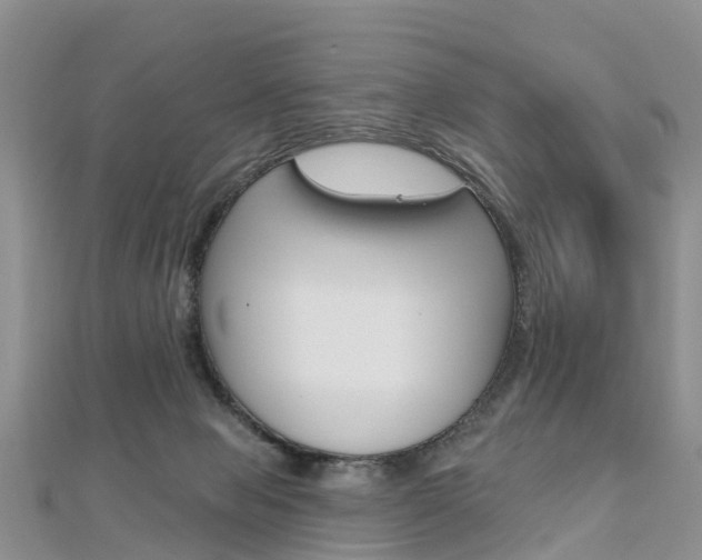 X0000112740077200908201044