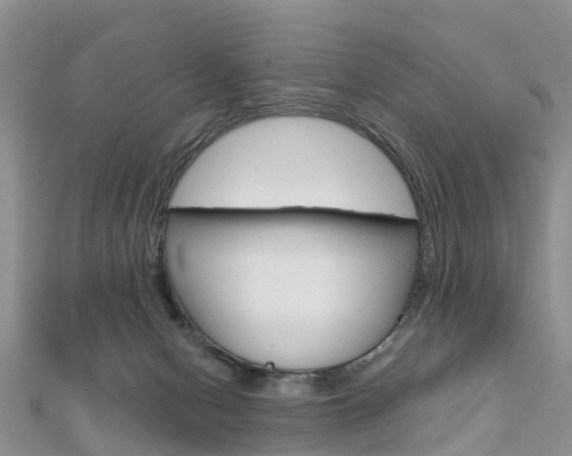 X0000112740078200908201044