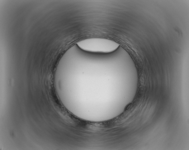 X0000112740079200908201044