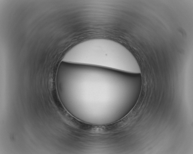 X0000112740080200908201044