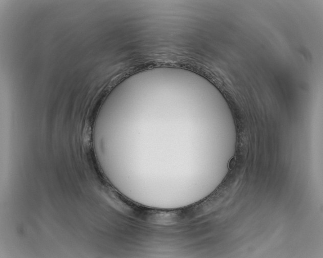 X0000112740081200908201044