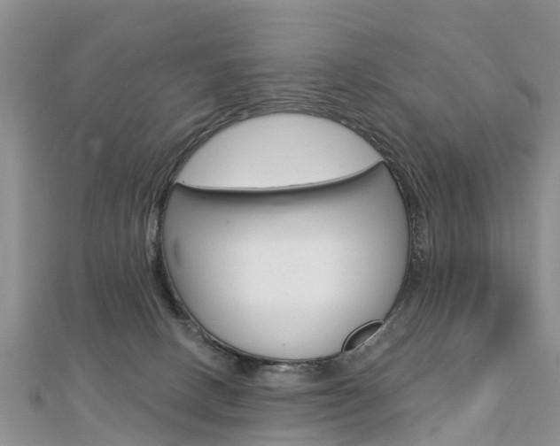X0000112740082200908201044