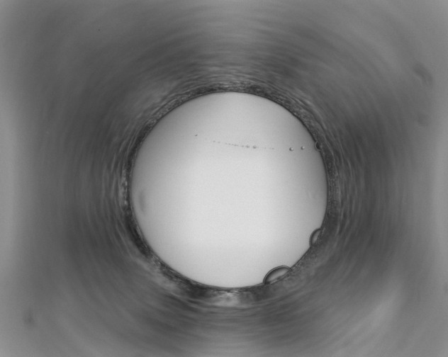 X0000112740083200908201044