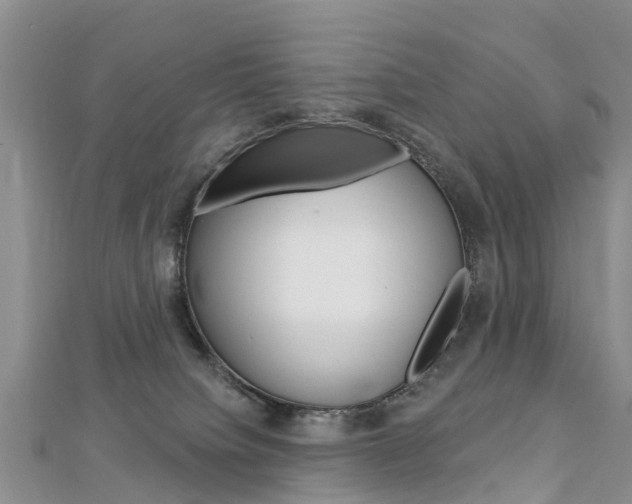 X0000112740084200908201044