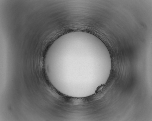 X0000112740085200908201044