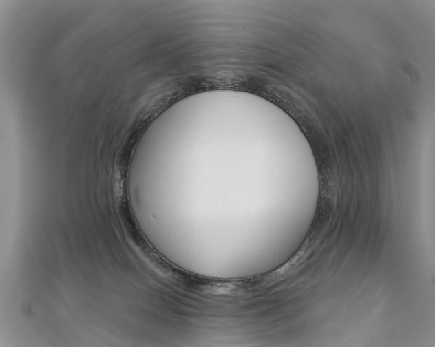 X0000112740086200908201044
