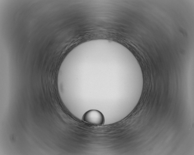 X0000112740088200908201044