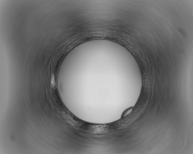 X0000112740089200908201044