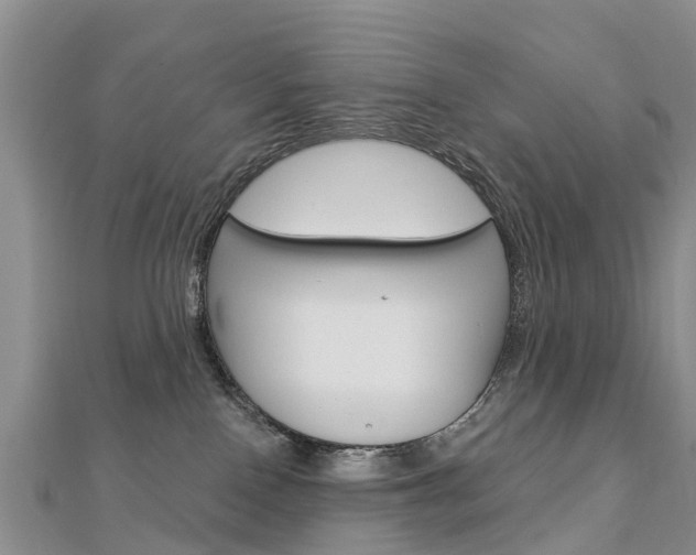 X0000112740090200908201044