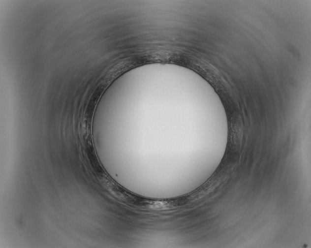 X0000112740091200908201044