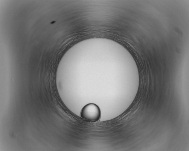 X0000112740092200908201044