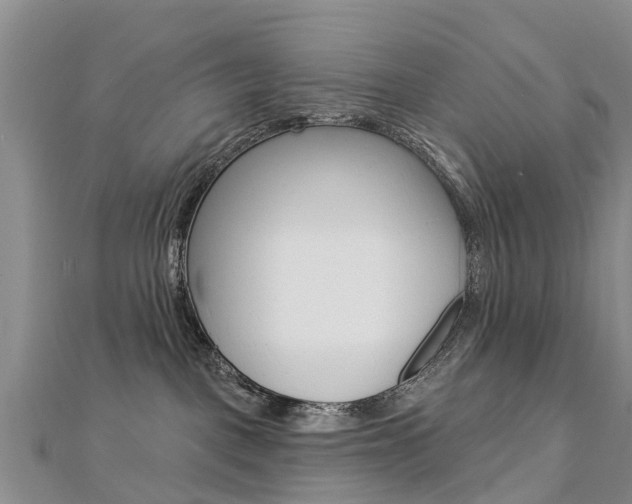 X0000112740093200908201044