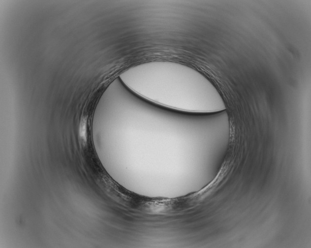 X0000112740094200908201044