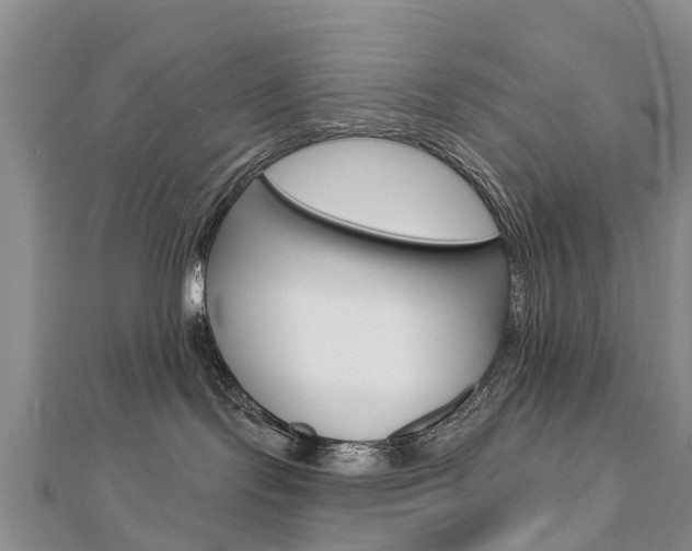 X0000112740095200908201044