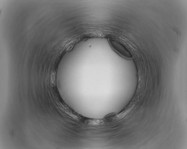 X0000112740096200908201044