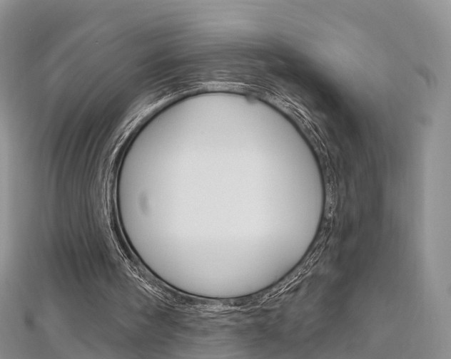 X0000112740098200908201044