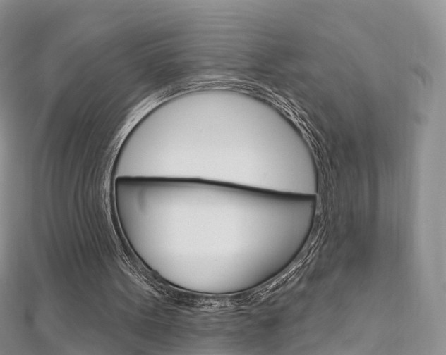 X0000112740099200908201043