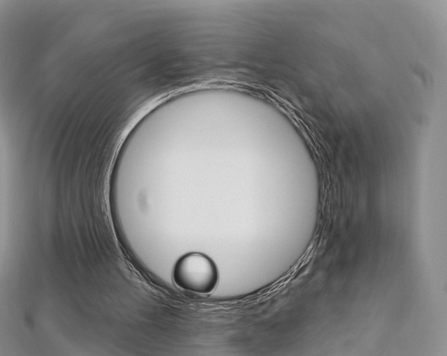 X0000112740100200908201043