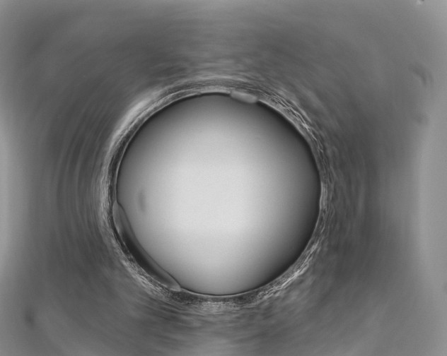 X0000112740101200908201043