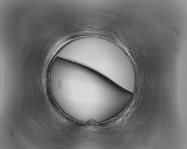 X0000112740103200908201043