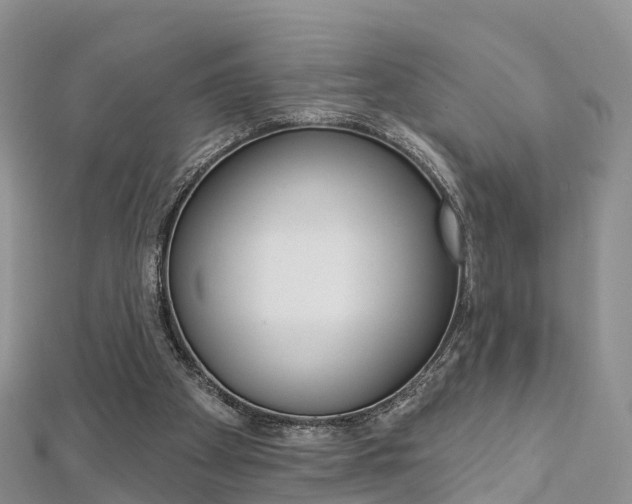 X0000112740105200908201043