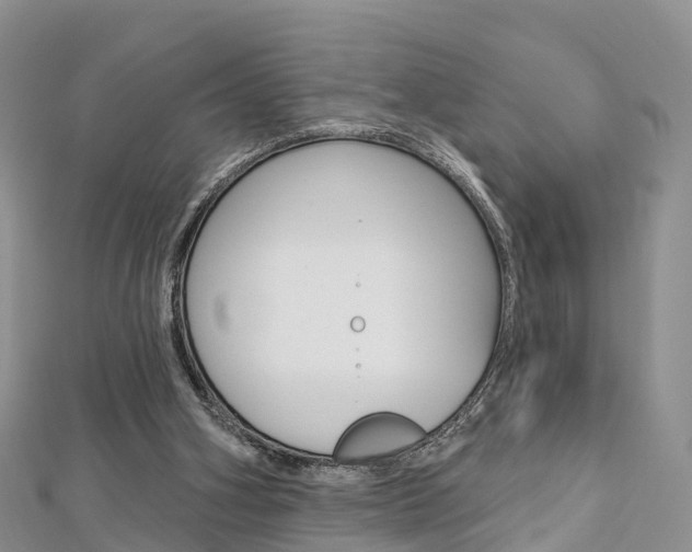 X0000112740106200908201043