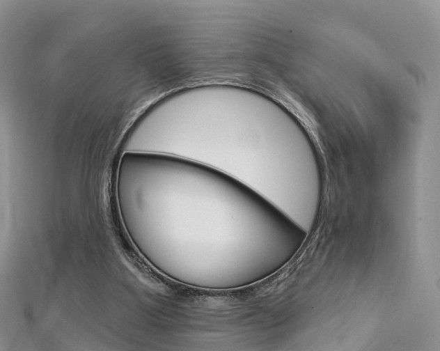 X0000112740107200908201043