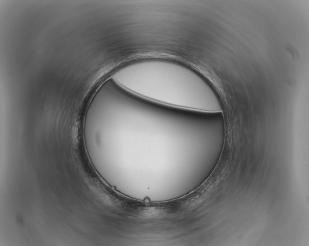 X0000112740111200908201043