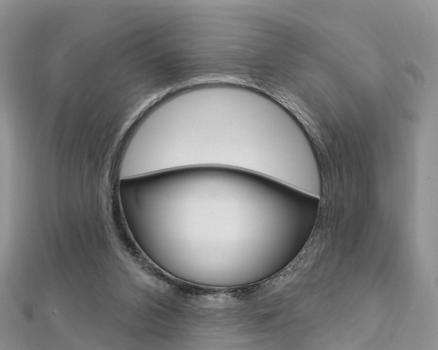 X0000112740112200908201043