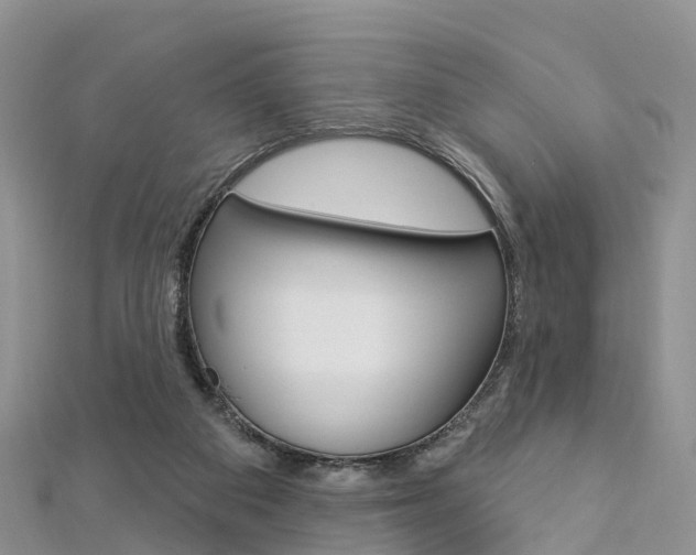 X0000112740113200908201043