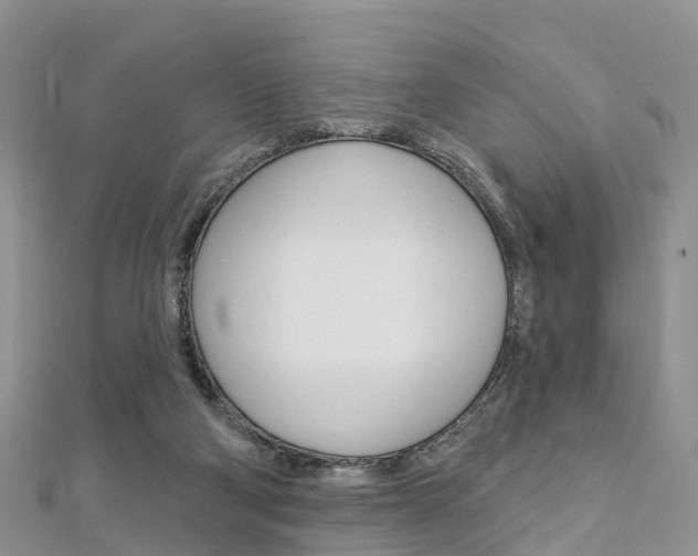 X0000112740114200908201043
