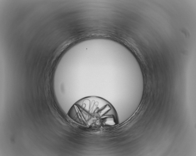 X0000112740116200908201043