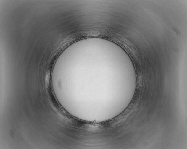 X0000112740118200908201043