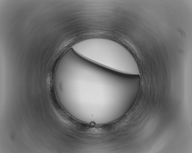 X0000112740119200908201043